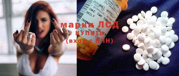 ГАЛЛЮЦИНОГЕННЫЕ ГРИБЫ Костерёво