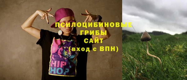 ГАЛЛЮЦИНОГЕННЫЕ ГРИБЫ Костерёво