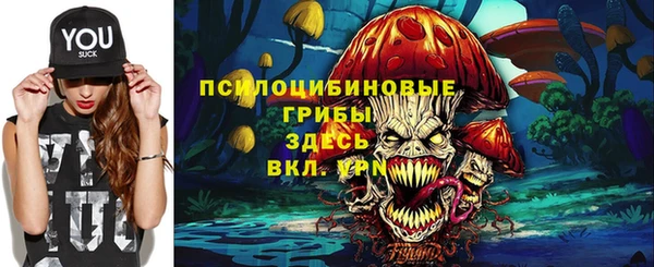 mdpv Коряжма