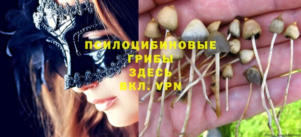 PSILOCYBIN Заволжье